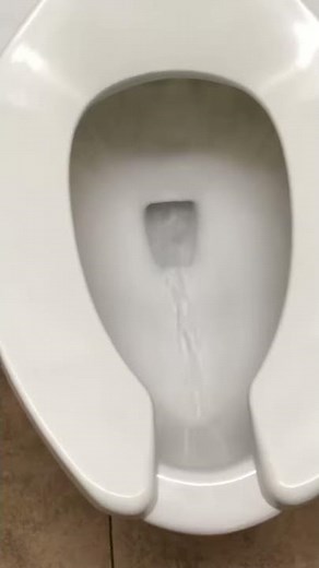 13.Restroom review at Walmart