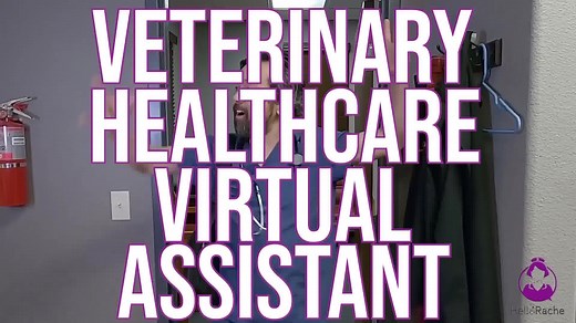 120K views · 224 reactions | Work with a Veterinary Healthcare Virtual Assistant® (a real person) every day and train them in your specific workflow. $9 per Hour. No Contracts. No Minimums. No Setup Fees. Transform your vet practice and save time on office tasks by integrating Hello Rache into your workflow.  | Hello Rache | Facebook