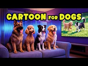 Dog Cartoons: Best Cartoon for Dogs to Watch 💗🐾 TOP Entertainment for Dogs When Home Alone ✨