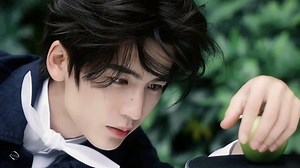 张凌赫(动态壁纸) - 元气壁纸
