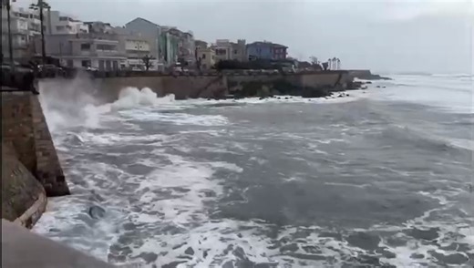 La tempesta di vento investe Alghero: alberi abbattuti, parchi chiusi e mareggiate