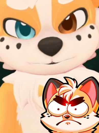 Funny Corgi Moments on Twitch Stream Highlights