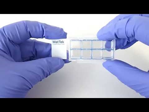 MatTek Chambered Cell Culture Slides