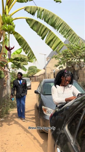 Bros Mex Comedy: A Dream Come True in Laughter