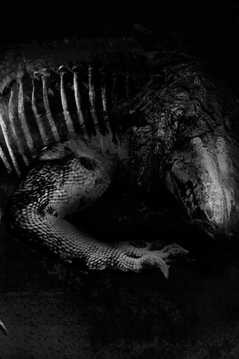 I Met SCP-682 in Real Life