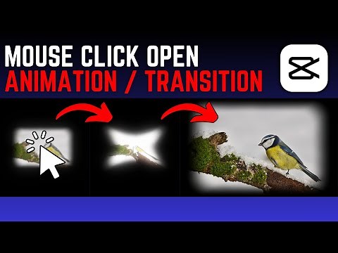 How To Add Mouse Click Open Animation Transition + FX Sound Effect in Capcut