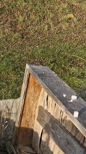 A sugar cube is my favorite plinking target! Best part? No cleanup necessary - the ants take care of the leftovers. 🐜😊 What do you all use for plinking? #OutdoorAirgun #HFTFun #Plinking | Outdoor Airgun