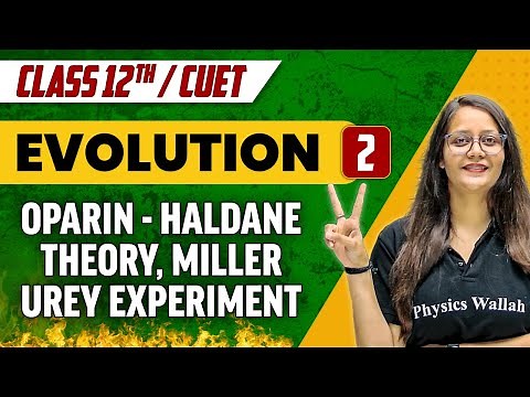Evolution 02 | Oparin- Haldane Theory, Miller Urey Experiment | Class 12th/CUET