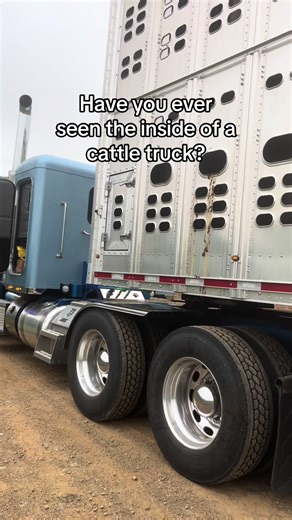 Exploring the Inside of a Cattle Truck