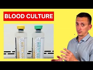 Blood Cultures: Everything Clinicians Need to Know