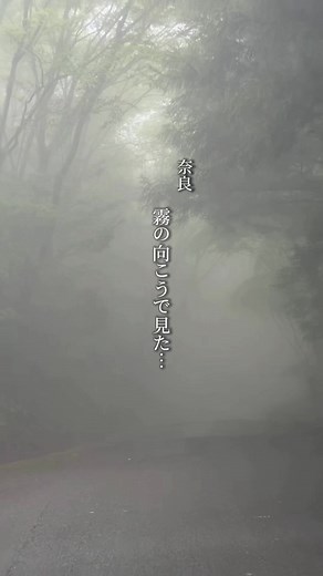 「呼ばれた人しかたどり着けない」 そんな言葉でも知られる奈良県十津川村の玉置神社へ行ってきました✨ 標高約1,000mの山の上にあり、世界遺産「紀伊山地の霊場と参詣道」の一部にも登録されている神秘の神社⛩️ 山道を進んだ先に現れる境内は、まるで別世界。 霧に包まれた瞬間は、本当に息をのむ美しさでした…。 樹齢3000年とも言われる神代杉や、空気が澄み切った参道、鳥の声しか聞こえない静けさ。 “パワースポット”という言葉だけでは表せない、心が洗われるような場所でした🌿 「最近なんだか疲れてる」 「人生の転機かもしれない」 そんな時に訪れる人も多いそうです✨ ドライブしながら向かう道中の景色も絶景なので、ぜひ一度行ってみてほしい場所です🥰 ⚠️ 注意点 ・山道が続くので運転には注意⚠️ ・霧が出やすく、天候が変わりやすいです ・冬季は積雪や道路状況の確認推奨 ・歩きやすい靴がおすすめ👟 ・山の上なので夏でも少し涼しめです🌿 ⸻ 【玉置神社】 📍 奈良県吉野郡十津川村玉置川1 🅿️ 無料駐車場あり 🕓 参拝自由 💰 拝観無料 ※実際に行かれる際は、公式情報をご確認ください。 