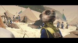 Compare the meerkat - battle of the fearlessness