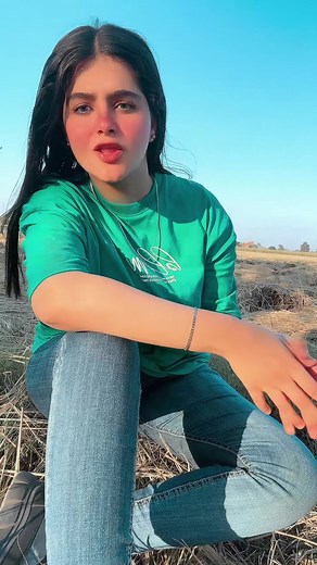 Understanding Sign Language in a Natural Setting