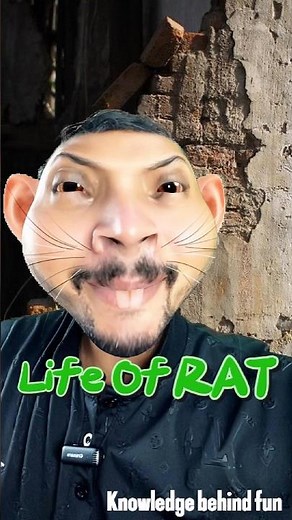 Why Do Rat's Teeth Grow Non-Stop? 🐀 | Explained Simply #ratlife #funwithfacts #facts