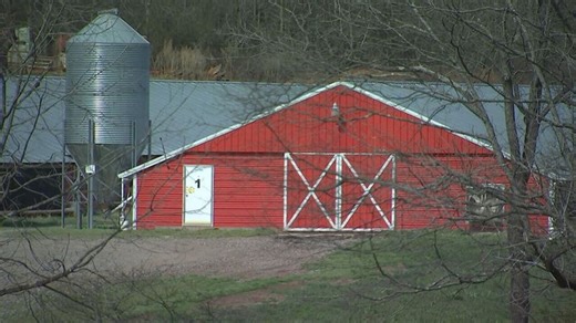 ‘Have some respect’: Homeowner upset with chicken farm next door | Haystack News