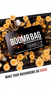 Maximize your mushroom yield with Boomr Bag, the ideal manure-based sterile substrate for mushroom species that prefer a nutrient-rich media. | North Spore
