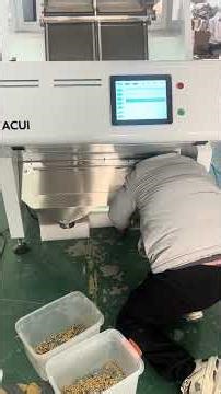 2-Chute Color Sorting Machine for Beans | Remove Black & Defective Grains