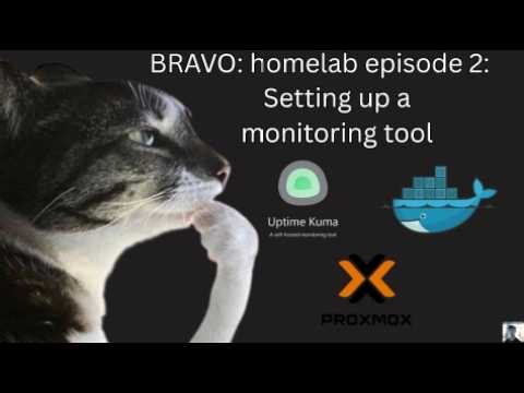 Kuma Uptime install and basic setup! | Bravo Homelab episode 2