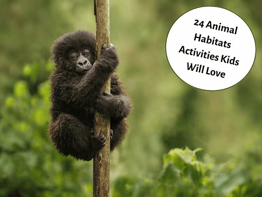 24 Animal Habitats Activities Kids Will Love - Teaching Expertise