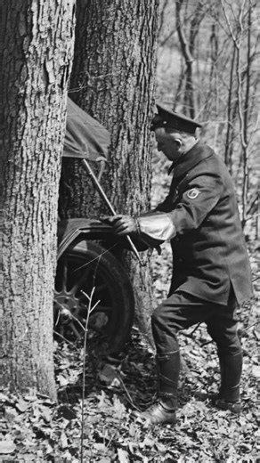 Automobile Crash in the Woods — c 1923–1929