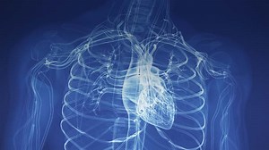 Reviewing the Role of SGLT2 Inhibitors in Heart Failure