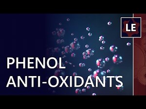 How do phenols work with a amine antioxidant additives?