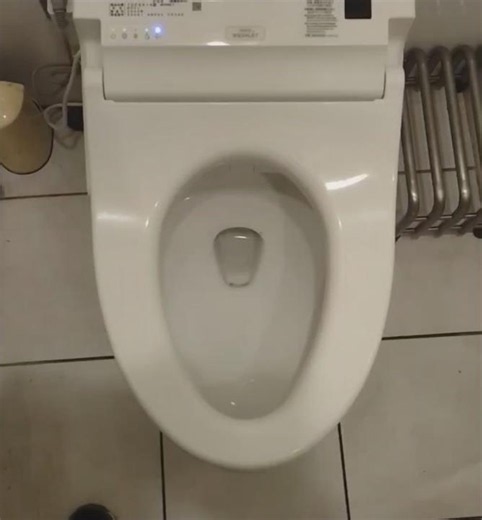 Toto C716 (Fake "CT705") Toilet. #toto #toilet #flush #restroom
