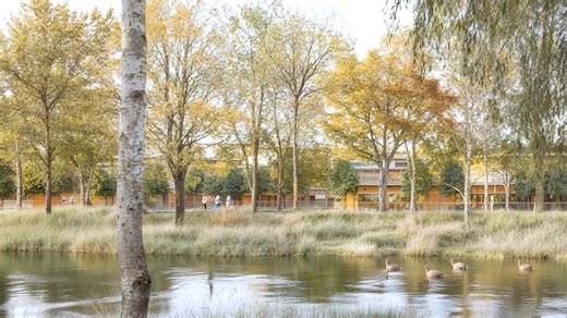 Projekti më i ri "Pyjet e Drilonit", vendosur midis Parkut Kombëtar të Drilot dhe fshatit turistik të Tushemishtit, vjen për ju shumë shpejt!🏡🌳🌊 Rezervoni apartamentin tuaj me vetëm 1,000€! Kontaktoni tani: 📞 355 68 40 49 444 💻 www.pyjetedrilonit.kontakt.al #kontakt #ndryshe #apartament #shitje #realestate | Kontakt Al