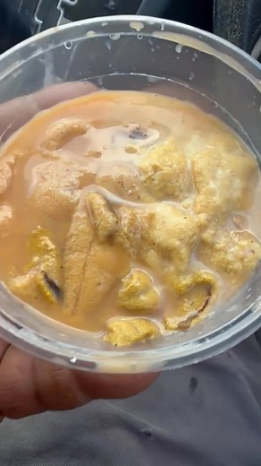 11K views · 219 reactions | The best of all kina.A Tongan tukumisi ioop | Line Tuakalau | Facebook