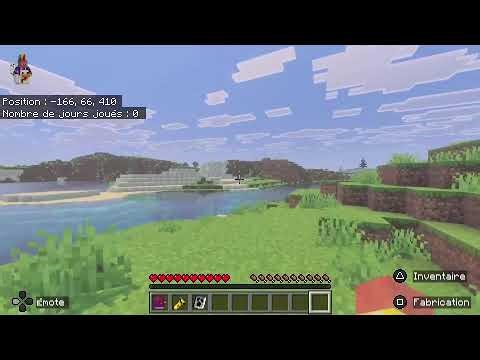 Survie Minecraft