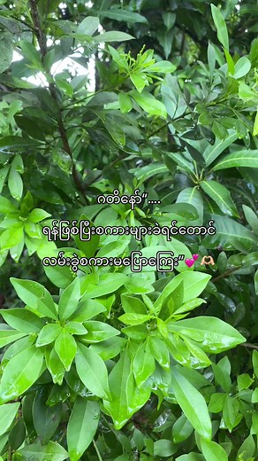 ဂတိနော် သီချင်းစာကြောင်း — လမ်းခွဲစကားမပြောကြေး (lyrics)