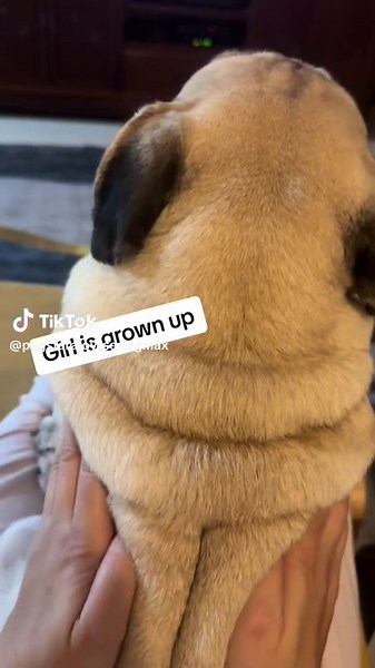 Girl grown up ! Have a clevage ! 😅 #clevagechallenge #sorryforclevage #clevagehack