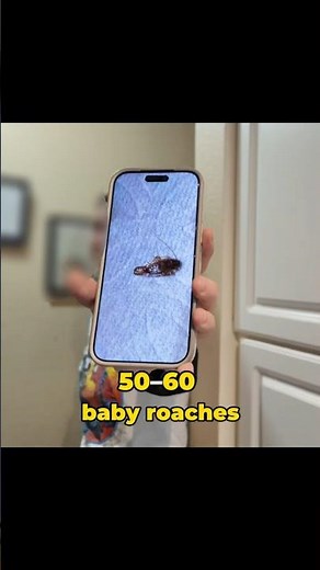50–60 Roaches… From One Egg Case