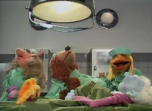 A bit of trivia about this never-released-on-home-video segment: the sketch features three female characters, but only one female performer. If the voice of the old lady sounds familiar, that's because it's Kathryn Mullen who played Mokey Fraggle and many other characters in the world of Henson. muppet.wikia.com/Kathryn_Mullen | Muppet Wiki