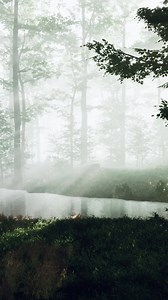 FPV drone flight quickly and maneuverable through an autumn forest at sunset