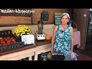 How to Make Muscadine Smoothies