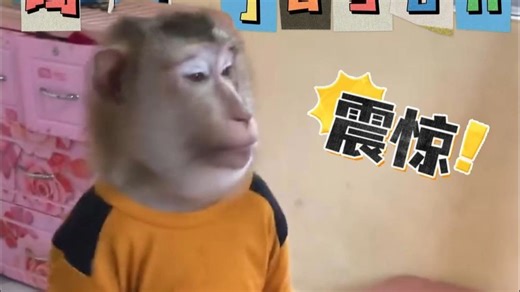 原来吗喽和人一样，吃瓜比吃零食有吸引力!