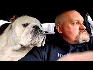 When Dogs Start Imitating Their Owners in the Funniest Ways 🐶🐾