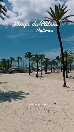 The golden sand of Playa de Palma glows under the radiant sun, creating one of the most beautiful beach scenes in Mallorca. The Mediterranean sparkles in shades of turquoise, inviting swimmers to dive into its crystal-clear waters, while the gentle sound of the waves sets a calming rhythm. Couples stroll along the shoreline, families enjoy the warm breeze, and friends gather in the vibrant beach cafés that make this part of Mallorca so full of life. With endless sunshine and a sky painted in the