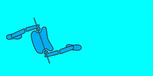 Transverse Plane Rotations of the Pelvis and Lower Extremity During Walking In the animation that I created below, the transverse plane rotations of the pelvis and lower extremity are illustrated. Please note that the transverse plane rotations within the pelvis correspond to the motions of one leg swinging forwads and the opposite limb in stance phase moving backwards relative to the pelvis. These transverse plane rotations of the pelvis in the bipedal human are thought to not only increase the