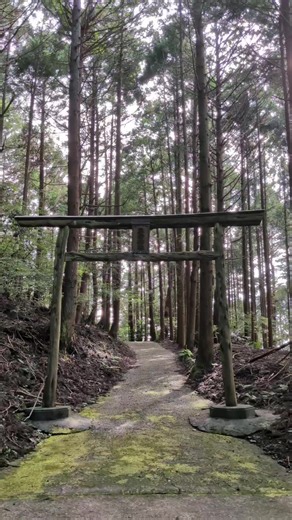 Discovering Tateiwa Shrine: A Sacred Site for Rain Prayers