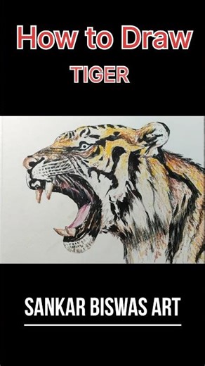 How to draw a tiger / easy process of tiger drawing.