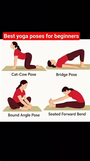 Begin your yoga journey—slow, simple, powerful #youtubeshorts #shortsfeed #yoga