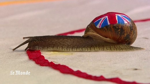 Découverte du championnat du monde de course d'escargot