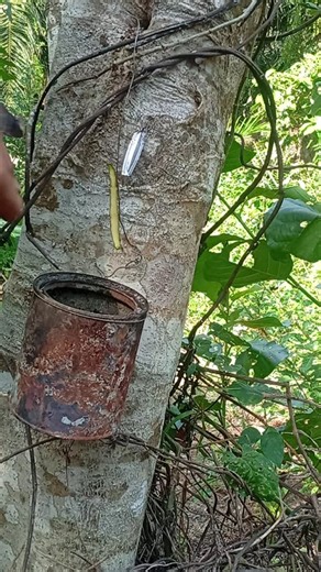 “Oops, it’s the other way around