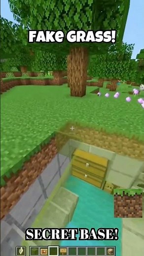 Minecraft POV: Secret Fake Grass Base
