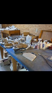 Prep labs are essential for the preservation of fossils. What are some of your favorite fossils? | Smoky Mountain Relic Room