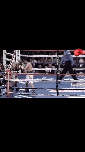 Timothy Bradley vs. Manny Pacquiao II was a professional boxing match contested on April 12, 2014, for the WBO Welterweight Championship. | Ernesto Garcia