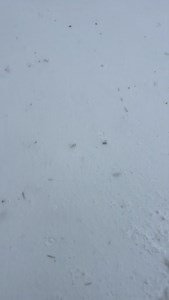 Ek chaai mil jaati 😅😮‍💨❄️☃️ | Gaurav Sharma