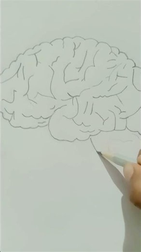 How to Draw Human brain 🧠🧠#Art #craft